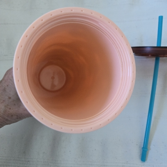 Starbucks 2019 Terra Cotta Desert Cactus Bloom 24oz Acrylic Tumbler - Picture 13 of 16